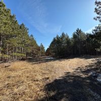 240 acre timber and hunting property for sale in Central Wisconsin images 5