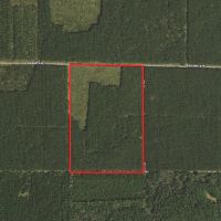 Town of Rome 60 acre timber lot for sale in Adams County WI images 2