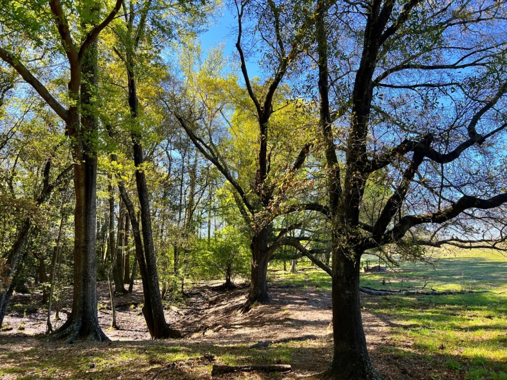04-022-broadway-farm-ag-pastureland featured image