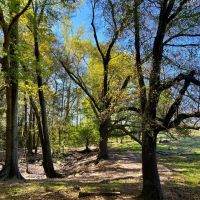 04-022-broadway-farm-ag-pastureland