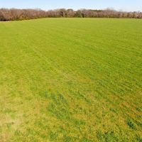 04-022-broadway-farm-ag-pastureland images 2