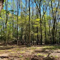 04-022-broadway-farm-ag-pastureland images 3