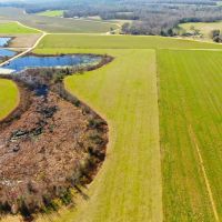 04-022-broadway-farm-ag-pastureland images 4