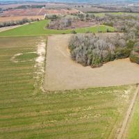 04-022-broadway-farm-ag-pastureland images 5