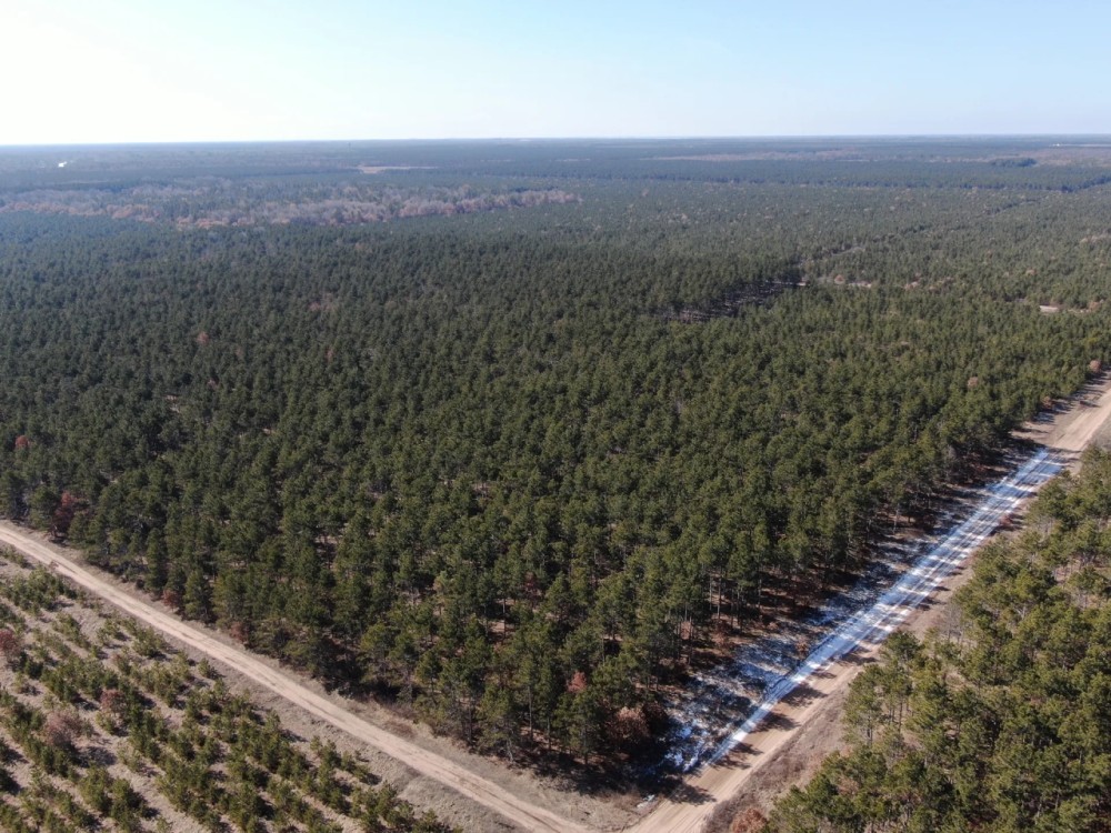 Town of Rome 60 acre timber lot for sale in Adams County WI featured image