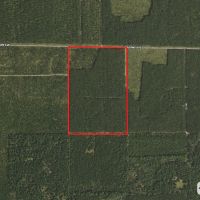 Town of Rome 60 acre timber lot for sale in Adams County WI images 2