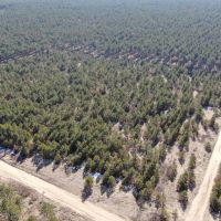Town of Rome 60 acre timber lot for sale in Adams County WI images 3