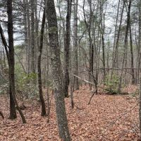 15 Acres with Mountain Views on Whitemire Church Road images 5