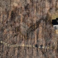 Log Home with Old-Growth Forest for sale in Monroe County WI images 2