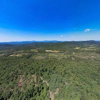 337 Deeded acres of Recreational Residential Timberland For Sale in Albemarle County VA images 3