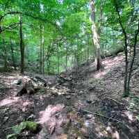 337 Deeded acres of Recreational Residential Timberland For Sale in Albemarle County VA images 4