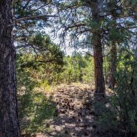 The Bluffs Ranch Lot 2 images 1