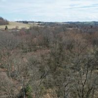 Monessen Street Fayette County - 30 - acres images 4