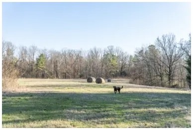 97.6 Acres in Tallahatchie County in Cascilla MS featured image