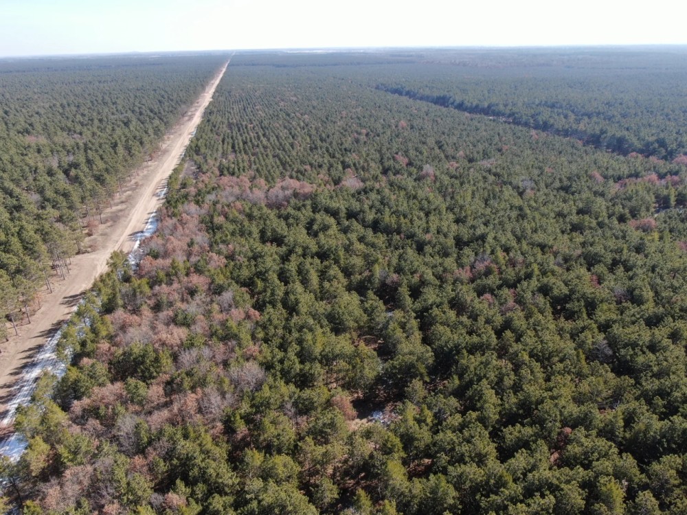 Corner Town of Rome 90 acre timber lot for sale in Adams County WI featured image