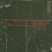 Corner Town of Rome 90 acre timber lot for sale in Adams County WI images 4
