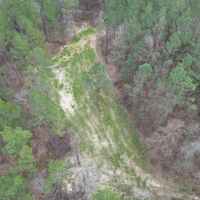 Hunting Land for Sale in Natchez MS images 5