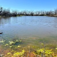 New Listing 9.6 - Acres Taylor County images 2
