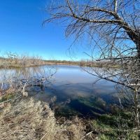 New Listing 9.6 - Acres Taylor County images 3