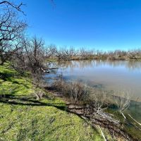 New Listing 9.6 - Acres Taylor County images 5