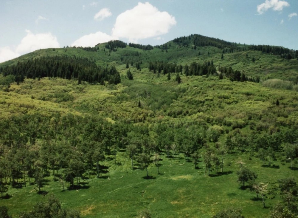 Pleasant Valley Ranch featured image
