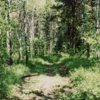 Pleasant Valley Ranch images 3