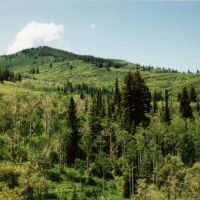 Pleasant Valley Ranch images 4