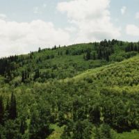 Pleasant Valley Ranch images 5
