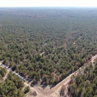 Town of Rome 80 acre timber lot for sale in Adams County WI