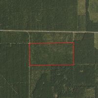 Town of Rome 80 acre timber lot for sale in Adams County WI images 2