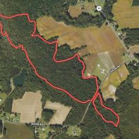 67.62 acres of Recreational Timber Land For Sale in Beaufort County NC