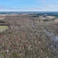67.62 acres of Recreational Timber Land For Sale in Beaufort County NC images 2