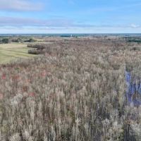 67.62 acres of Recreational Timber Land For Sale in Beaufort County NC images 3