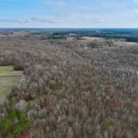 67.62 acres of Recreational Timber Land For Sale in Beaufort County NC images 4