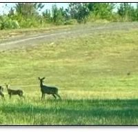180 Acres with a Home in Scott County at 11281 Hwy 21 in Forest MS images 3