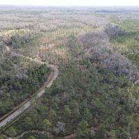 42 Acres Hunting Land or Homesite images 2