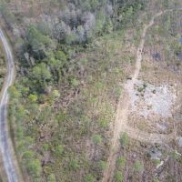 42 Acres Hunting Land or Homesite images 3