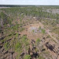 42 Acres Hunting Land or Homesite images 4