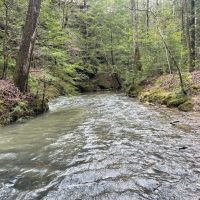 Buck Branch in Winston County AL