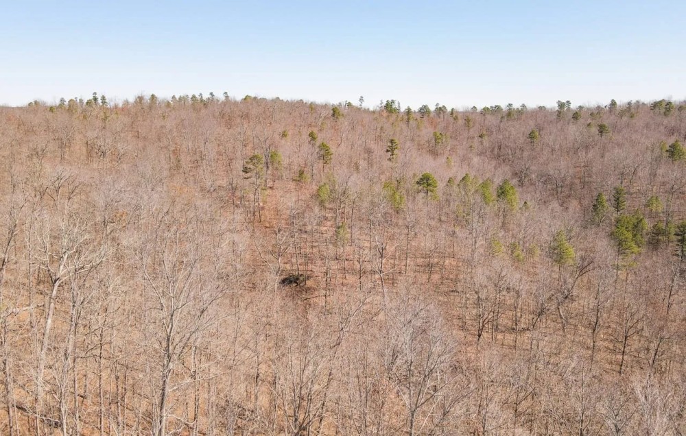 100 Acres in Eminence MO For Sale featured image