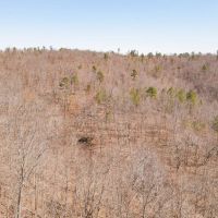 100 Acres in Eminence MO For Sale