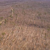 100 Acres in Eminence MO For Sale images 5