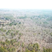 18.4 acres of Residential Land For Sale in Chesterfield County VA images 3