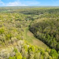Rare find near Trail of Tears State Park 325 Arapaho Lane