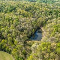 Rare find near Trail of Tears State Park 325 Arapaho Lane images 3