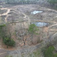 Great 20 Acre Tract in Southwest Mississippi
