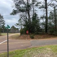 Great 20 Acre Tract in Southwest Mississippi images 3