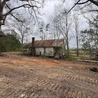 Great 20 Acre Tract in Southwest Mississippi images 5