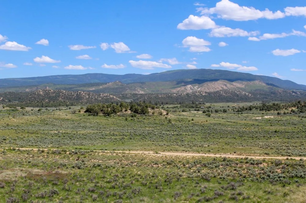 RA391 GMU 5A - 213 acres featured image