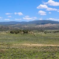 RA391 GMU 5A - 213 acres